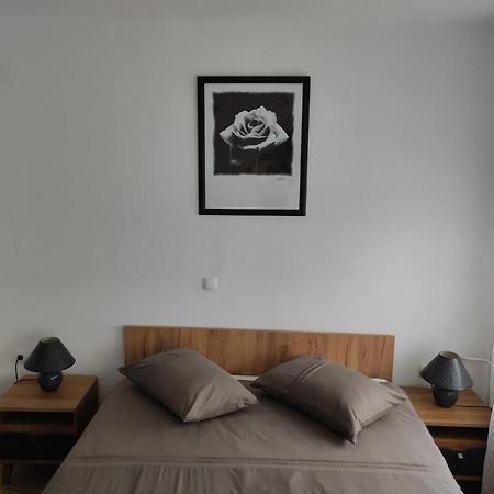 Studio Apartman Rose Apartment Plitvicka Jezera Bagian luar foto