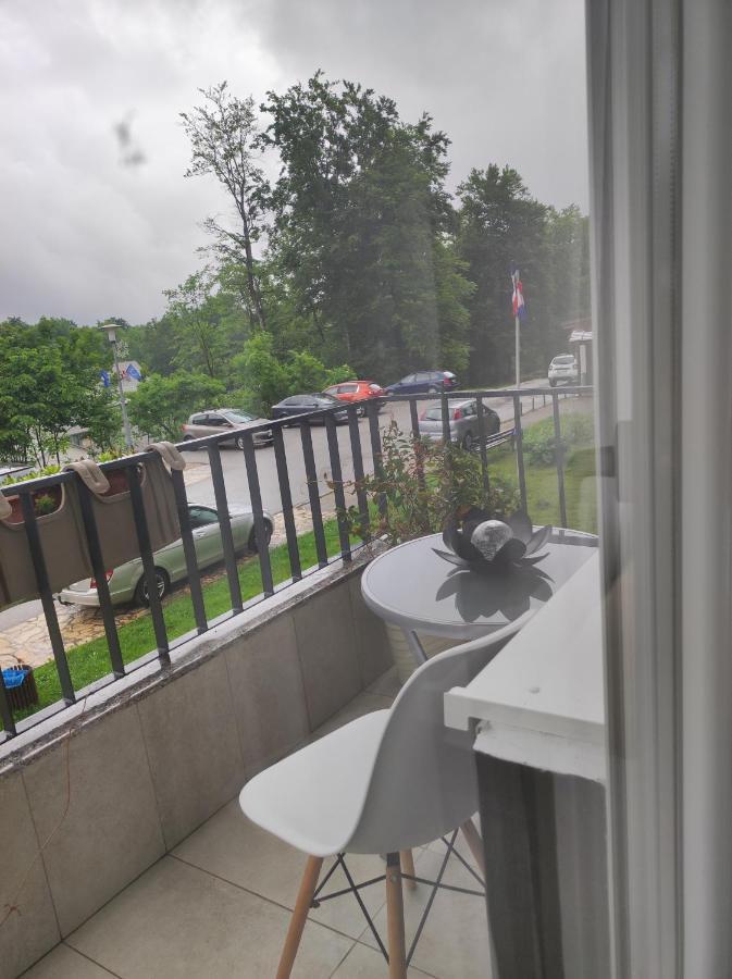 Studio Apartman Rose Apartment Plitvicka Jezera Bagian luar foto