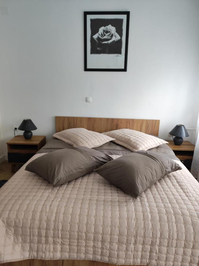 Studio Apartman Rose Apartment Plitvicka Jezera Bagian luar foto