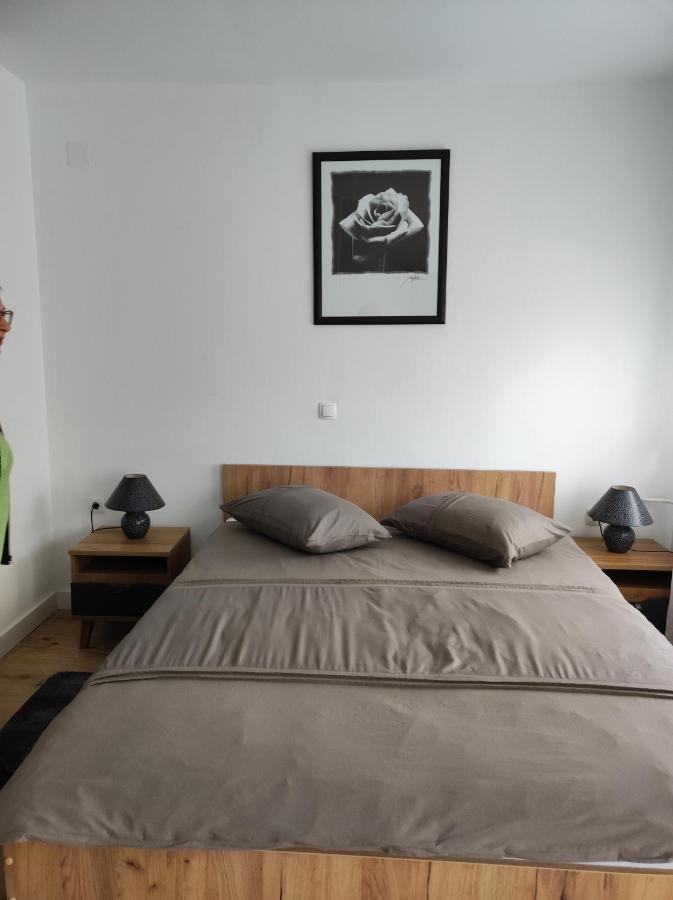 Studio Apartman Rose Apartment Plitvicka Jezera Bagian luar foto